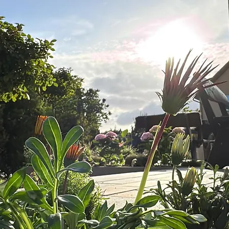 アパート Fajne - - Blisko Plazy - Komfort I Cisza カルビア