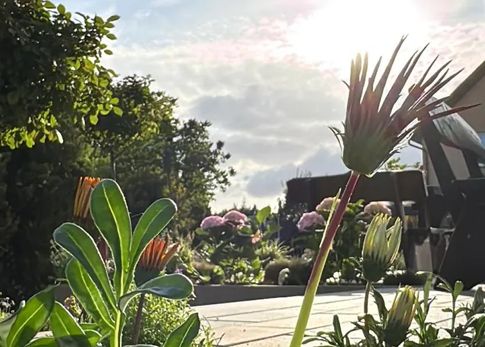 Апартаменты Fajne - - Blisko Plazy - Komfort I Cisza Карвиа